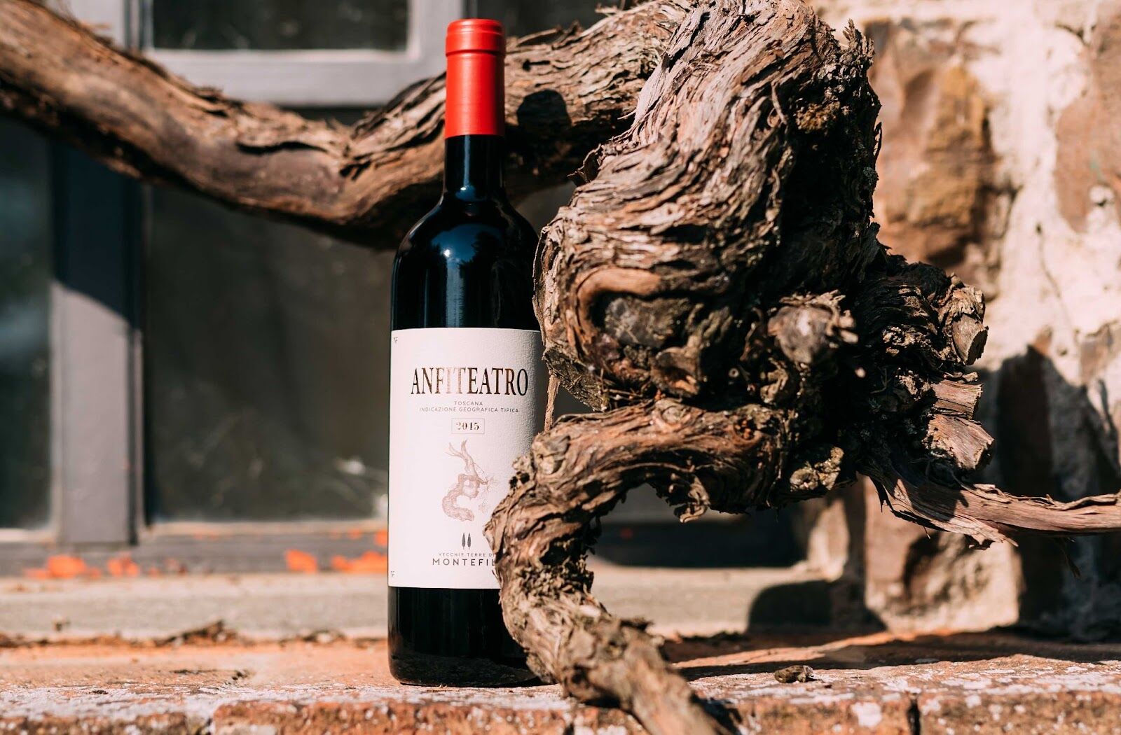 An Old Vineyard with Heritage Montefili Joins the Old Vine Conference